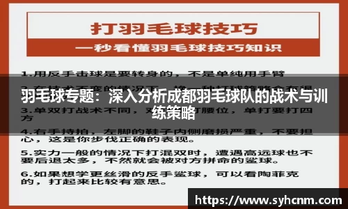羽毛球专题：深入分析成都羽毛球队的战术与训练策略