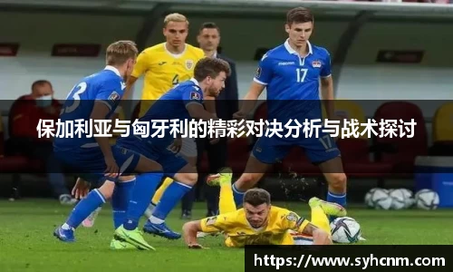 VSport官方网站